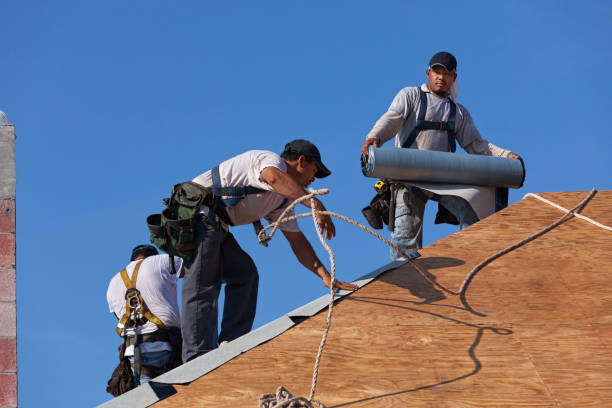 Sealant for Roof in Lake Of The Woods, IL