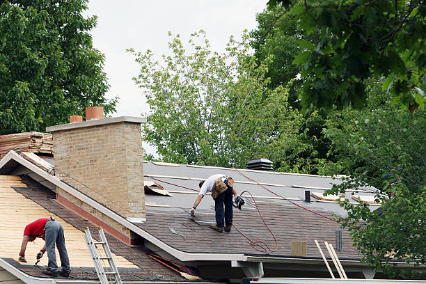 Best Metal Roofing Contractor  in Lake Of The Woods, IL