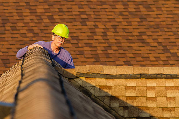 Slate Roofing Contractor in Lake Of The Woods, IL