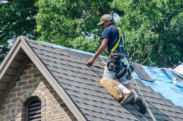 Best New Roof Installation  in Lake Of The Woods, IL